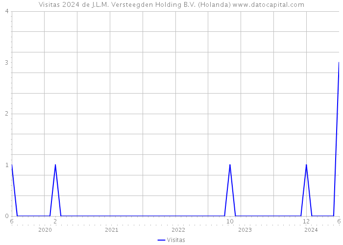 Visitas 2024 de J.L.M. Versteegden Holding B.V. (Holanda) 