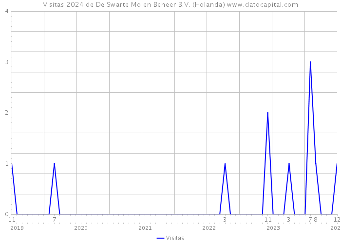 Visitas 2024 de De Swarte Molen Beheer B.V. (Holanda) 