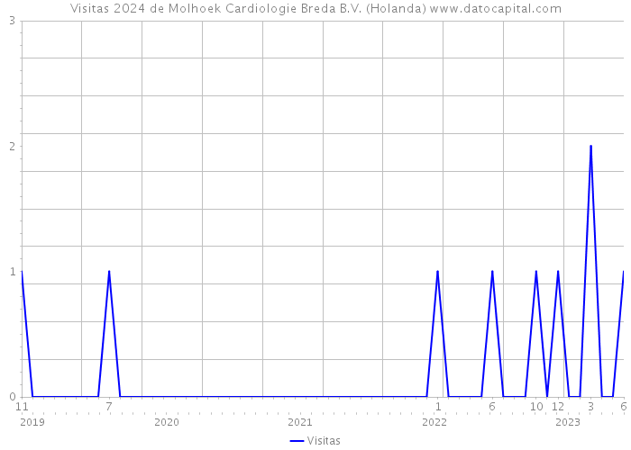 Visitas 2024 de Molhoek Cardiologie Breda B.V. (Holanda) 