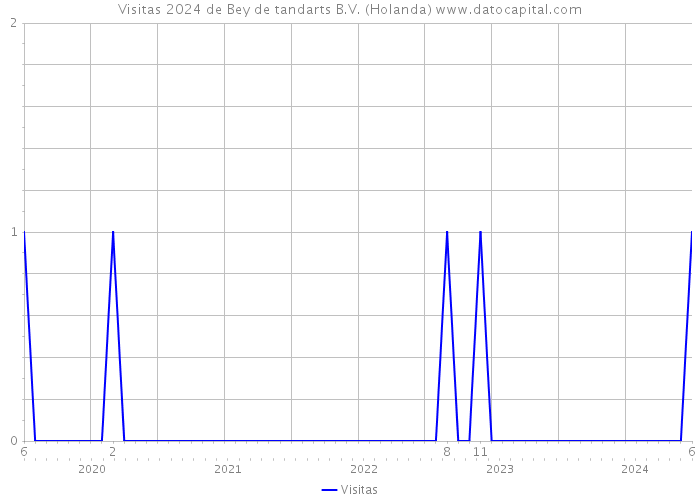 Visitas 2024 de Bey de tandarts B.V. (Holanda) 