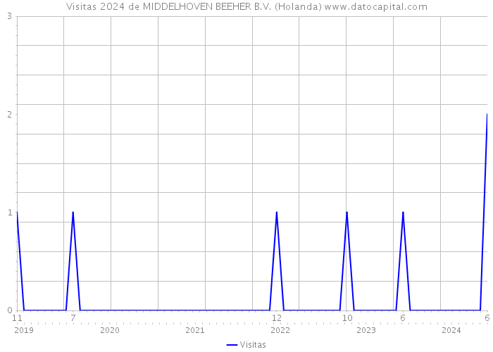 Visitas 2024 de MIDDELHOVEN BEEHER B.V. (Holanda) 