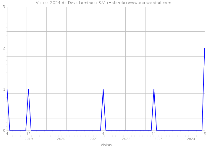 Visitas 2024 de Desa Laminaat B.V. (Holanda) 
