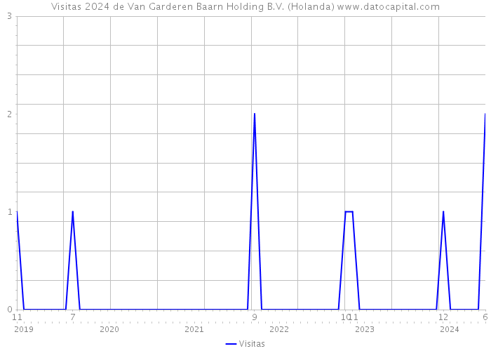 Visitas 2024 de Van Garderen Baarn Holding B.V. (Holanda) 