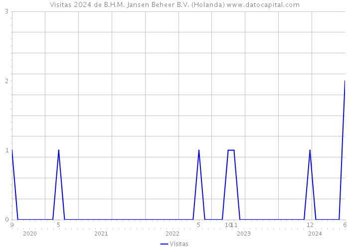 Visitas 2024 de B.H.M. Jansen Beheer B.V. (Holanda) 