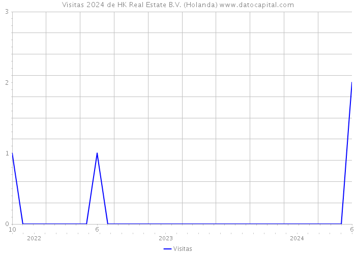 Visitas 2024 de HK Real Estate B.V. (Holanda) 