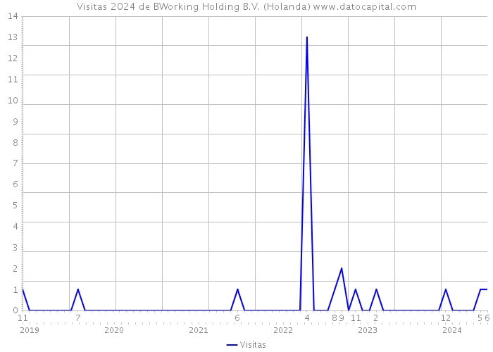 Visitas 2024 de BWorking Holding B.V. (Holanda) 
