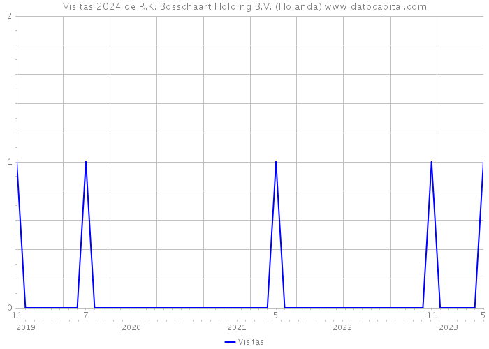 Visitas 2024 de R.K. Bosschaart Holding B.V. (Holanda) 
