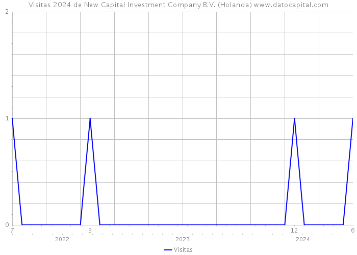 Visitas 2024 de New Capital Investment Company B.V. (Holanda) 