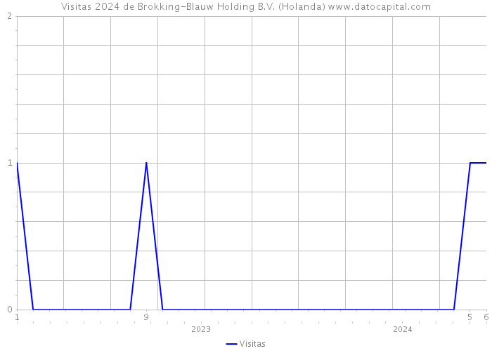 Visitas 2024 de Brokking-Blauw Holding B.V. (Holanda) 