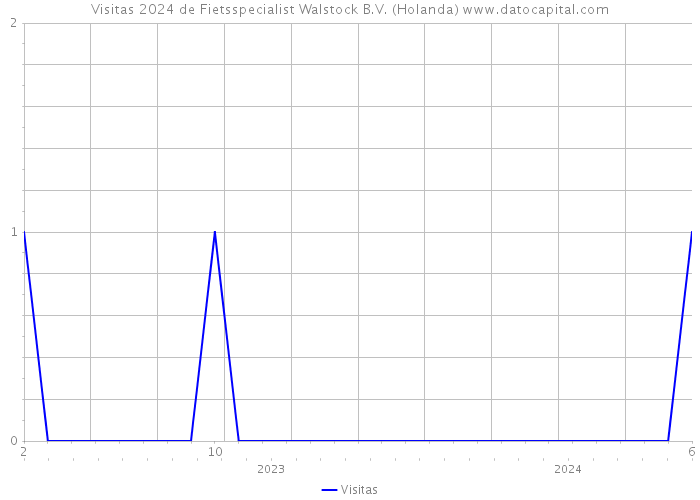 Visitas 2024 de Fietsspecialist Walstock B.V. (Holanda) 