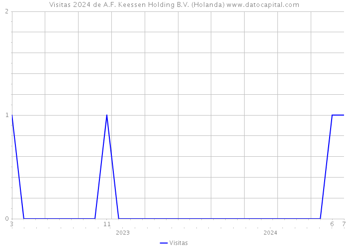 Visitas 2024 de A.F. Keessen Holding B.V. (Holanda) 