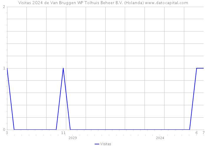 Visitas 2024 de Van Bruggen WP Tolhuis Beheer B.V. (Holanda) 