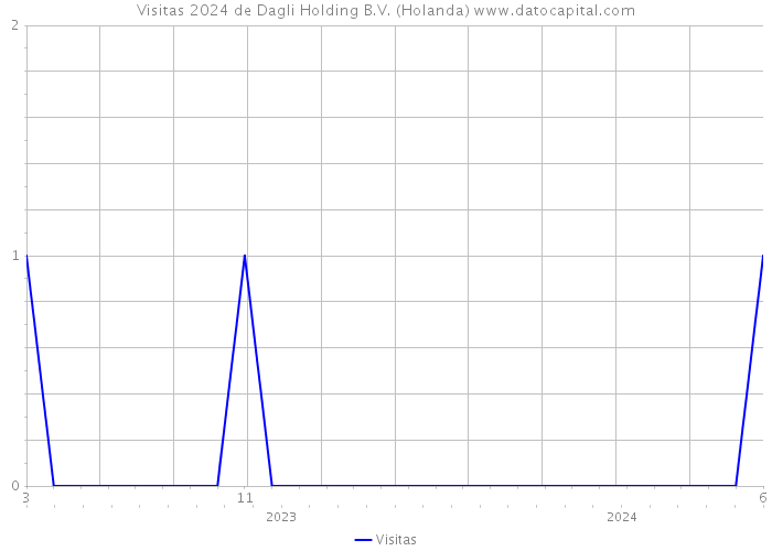 Visitas 2024 de Dagli Holding B.V. (Holanda) 