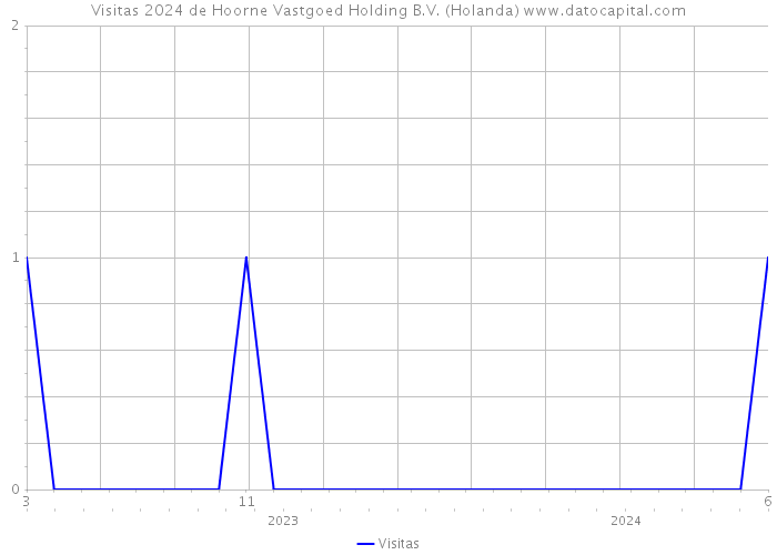 Visitas 2024 de Hoorne Vastgoed Holding B.V. (Holanda) 