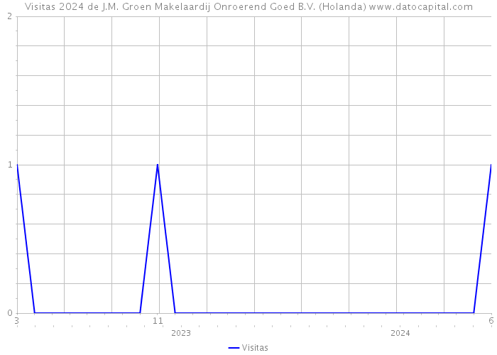 Visitas 2024 de J.M. Groen Makelaardij Onroerend Goed B.V. (Holanda) 