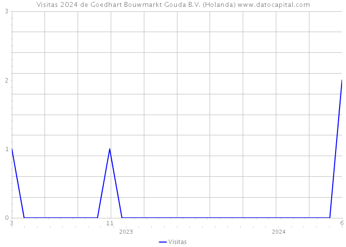 Visitas 2024 de Goedhart Bouwmarkt Gouda B.V. (Holanda) 