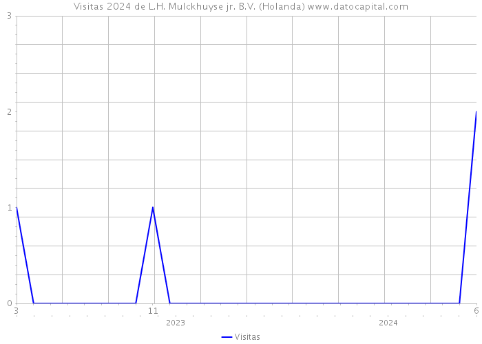 Visitas 2024 de L.H. Mulckhuyse jr. B.V. (Holanda) 