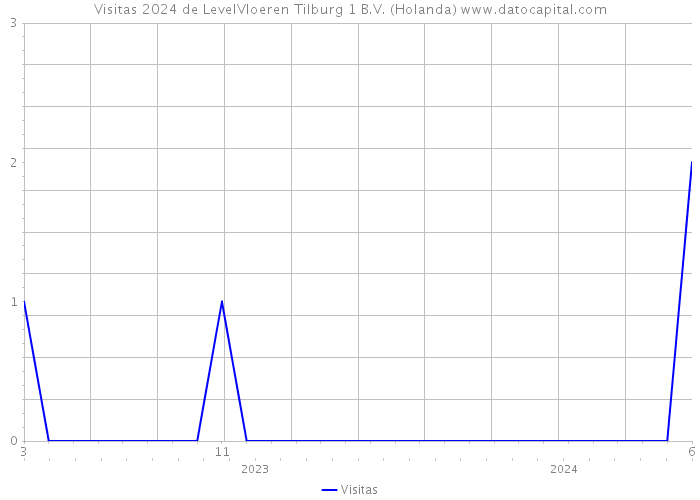 Visitas 2024 de LevelVloeren Tilburg 1 B.V. (Holanda) 