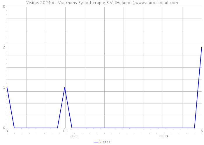 Visitas 2024 de Voorhans Fysiotherapie B.V. (Holanda) 