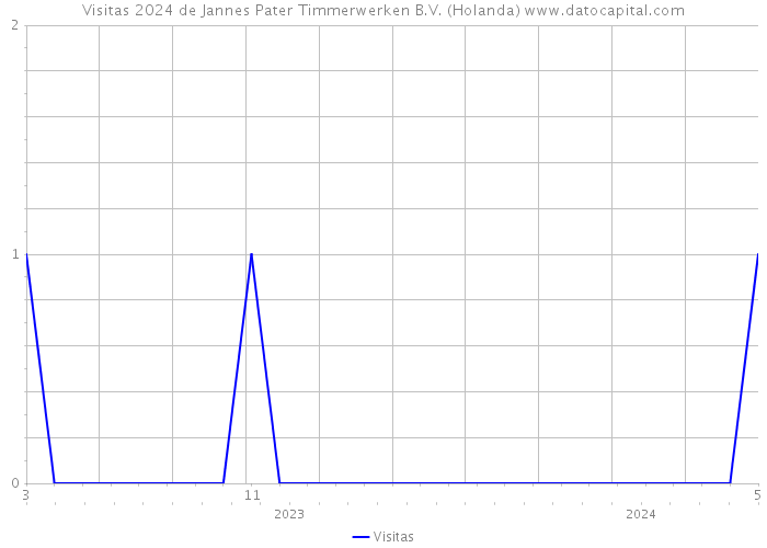 Visitas 2024 de Jannes Pater Timmerwerken B.V. (Holanda) 