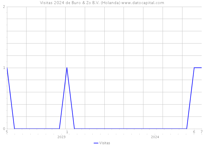 Visitas 2024 de Buro & Zo B.V. (Holanda) 