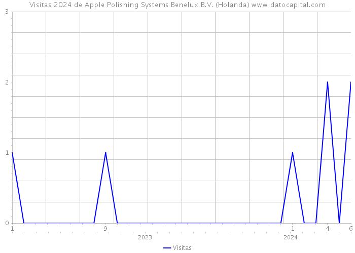 Visitas 2024 de Apple Polishing Systems Benelux B.V. (Holanda) 