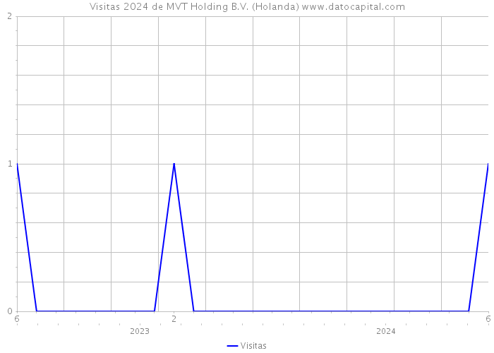 Visitas 2024 de MVT Holding B.V. (Holanda) 
