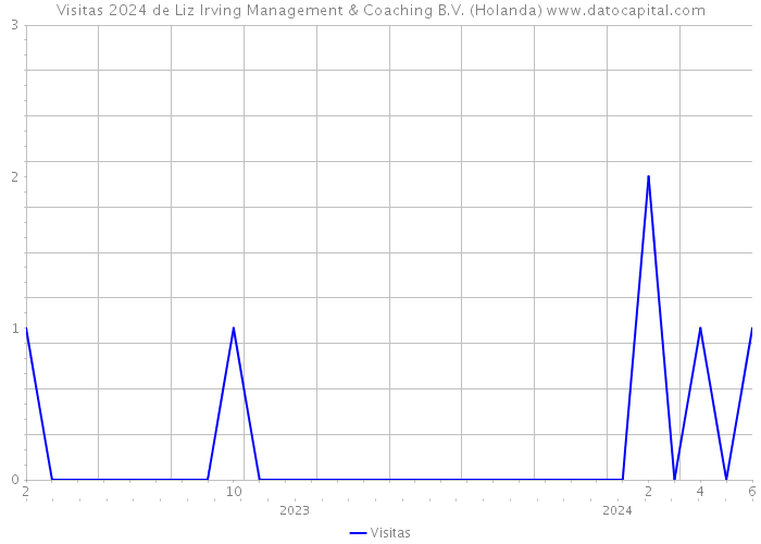 Visitas 2024 de Liz Irving Management & Coaching B.V. (Holanda) 