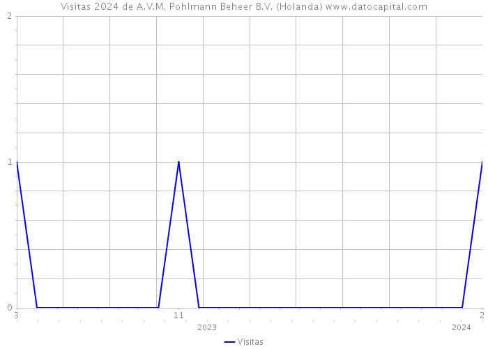 Visitas 2024 de A.V.M. Pohlmann Beheer B.V. (Holanda) 