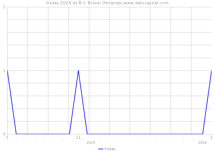 Visitas 2024 de B.V. Boreel (Holanda) 