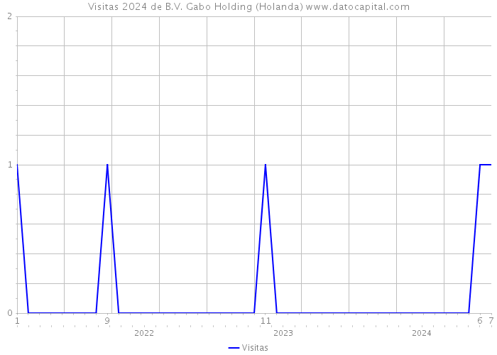 Visitas 2024 de B.V. Gabo Holding (Holanda) 