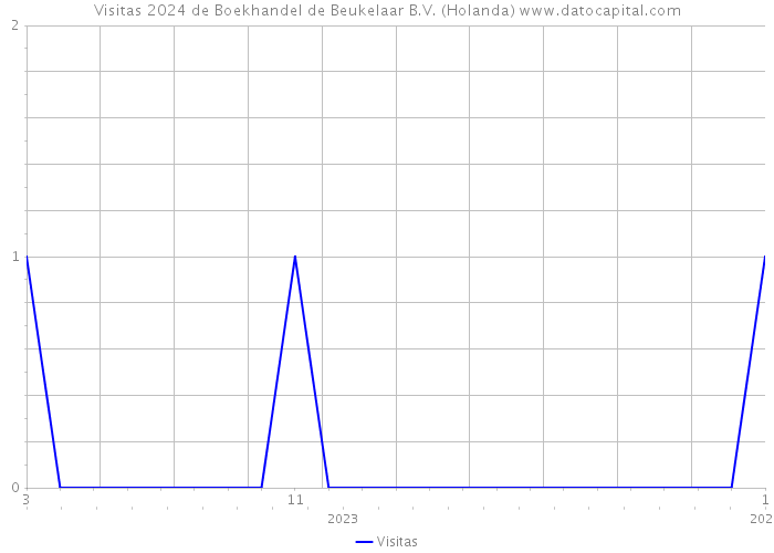 Visitas 2024 de Boekhandel de Beukelaar B.V. (Holanda) 