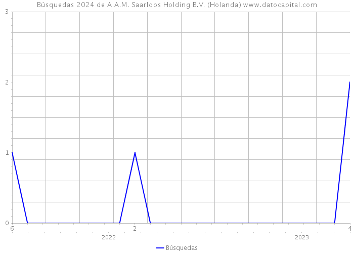 Búsquedas 2024 de A.A.M. Saarloos Holding B.V. (Holanda) 