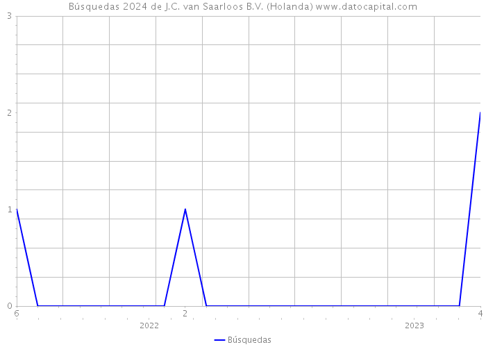 Búsquedas 2024 de J.C. van Saarloos B.V. (Holanda) 