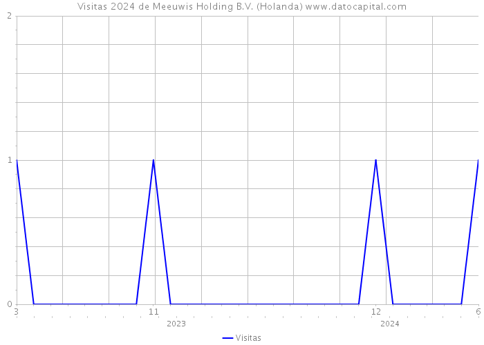 Visitas 2024 de Meeuwis Holding B.V. (Holanda) 