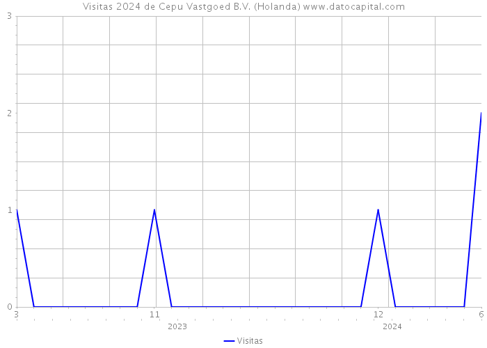 Visitas 2024 de Cepu Vastgoed B.V. (Holanda) 