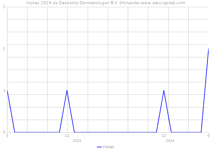 Visitas 2024 de Dankerlui Dermatologen B.V. (Holanda) 