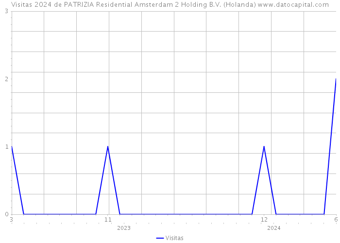 Visitas 2024 de PATRIZIA Residential Amsterdam 2 Holding B.V. (Holanda) 