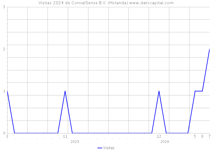 Visitas 2024 de ConvalSense B.V. (Holanda) 