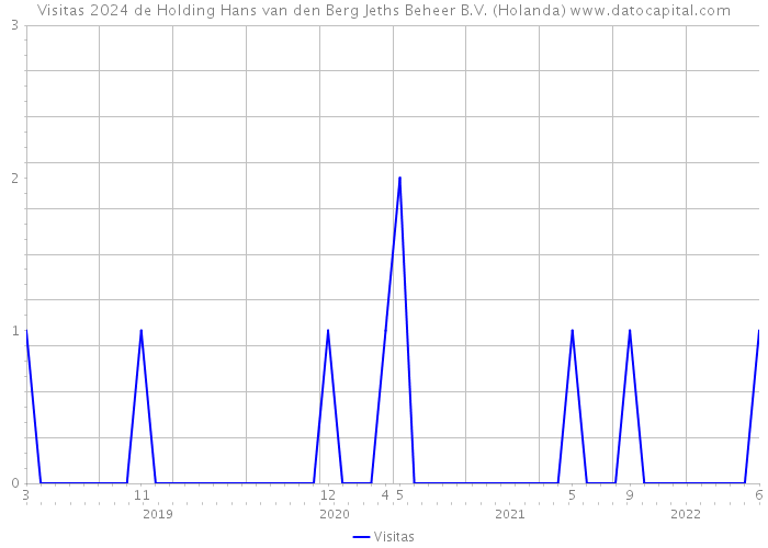 Visitas 2024 de Holding Hans van den Berg Jeths Beheer B.V. (Holanda) 