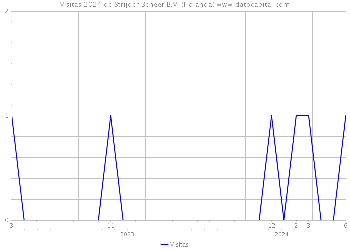 Visitas 2024 de Strijder Beheer B.V. (Holanda) 