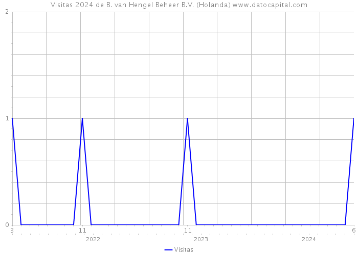 Visitas 2024 de B. van Hengel Beheer B.V. (Holanda) 