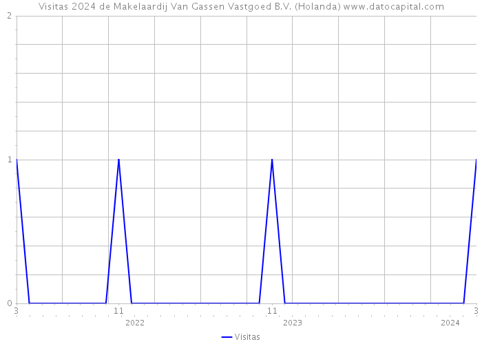 Visitas 2024 de Makelaardij Van Gassen Vastgoed B.V. (Holanda) 