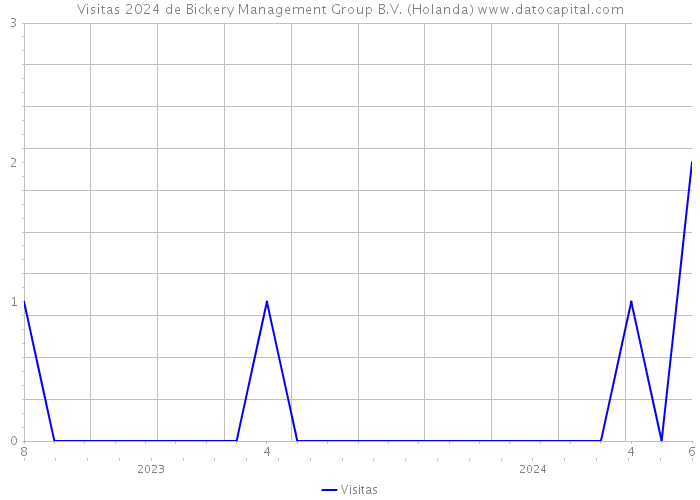 Visitas 2024 de Bickery Management Group B.V. (Holanda) 