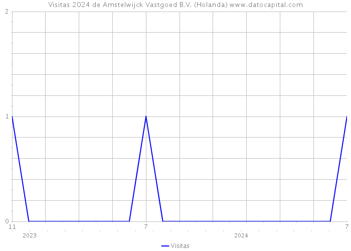 Visitas 2024 de Amstelwijck Vastgoed B.V. (Holanda) 