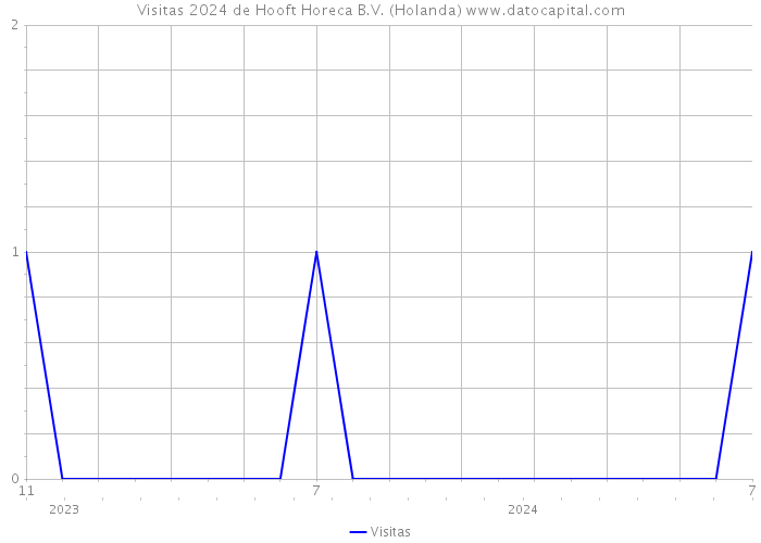 Visitas 2024 de Hooft Horeca B.V. (Holanda) 