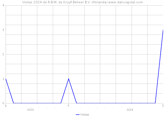 Visitas 2024 de R.B.M. de Kruyf Beheer B.V. (Holanda) 