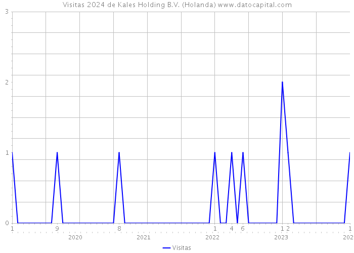 Visitas 2024 de Kales Holding B.V. (Holanda) 