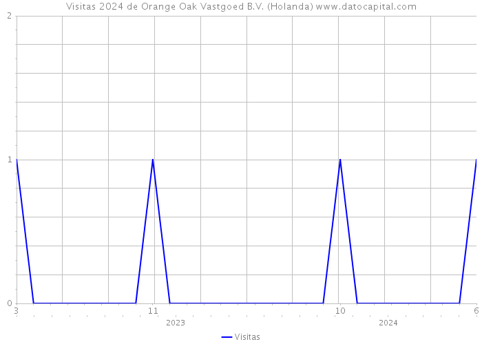 Visitas 2024 de Orange Oak Vastgoed B.V. (Holanda) 