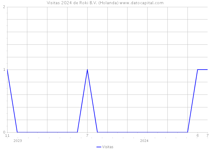 Visitas 2024 de Roki B.V. (Holanda) 